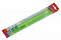 Линейка Neon Erich Krause 20см пластиковая зеленая 53000